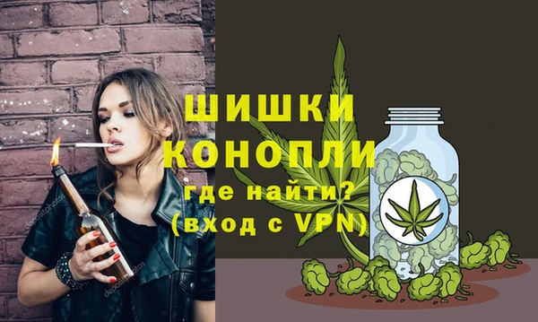 соль ск Болохово