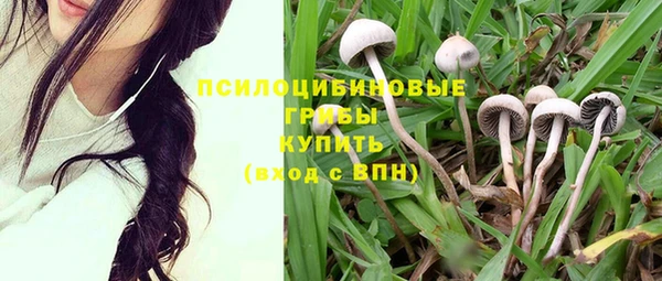 марки lsd Валдай