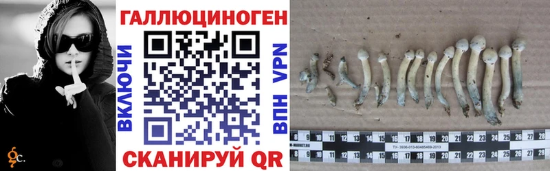 Псилоцибиновые грибы мицелий  цена   Кушва 