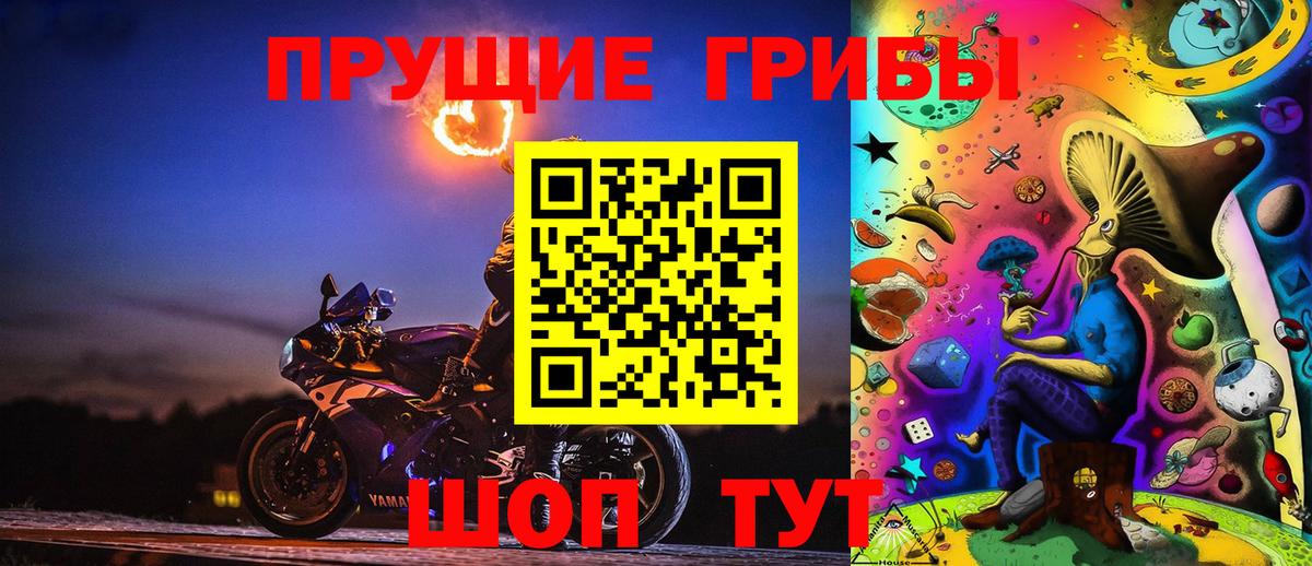 Кушва  Псилоцибиновые грибы Psilocybe  Вход с VPN 