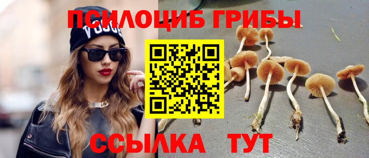 Галлюциногенные грибы мухоморы Кушва